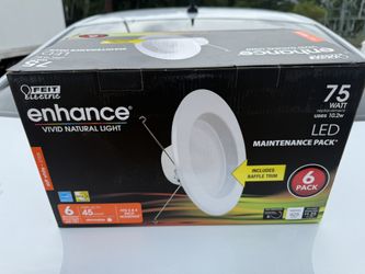Fein 5 & 6” Retro Recessed Lights 6pk 2700k