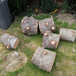 Free Firewood, Come And Haul Away.