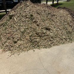 Free Mulch & Wood Chips