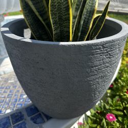brand new patio ceramic pot in box plant  not included