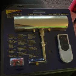 Concept LED Picture Light 