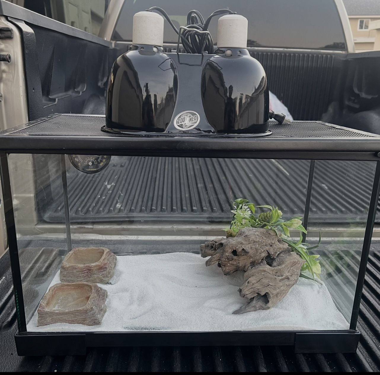 Reptile Tank with Everything Included.