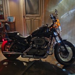 2009 1200cc Sportster Nightster