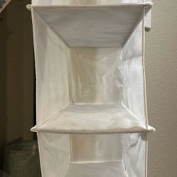 Hanging shoe organizer