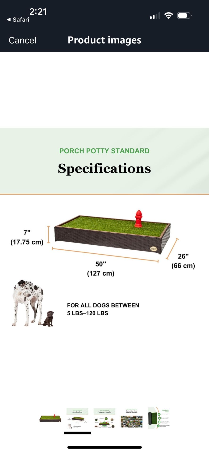 Standard Porch Potty For Small To Large Dogs!