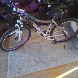 Womens Mountain Bike