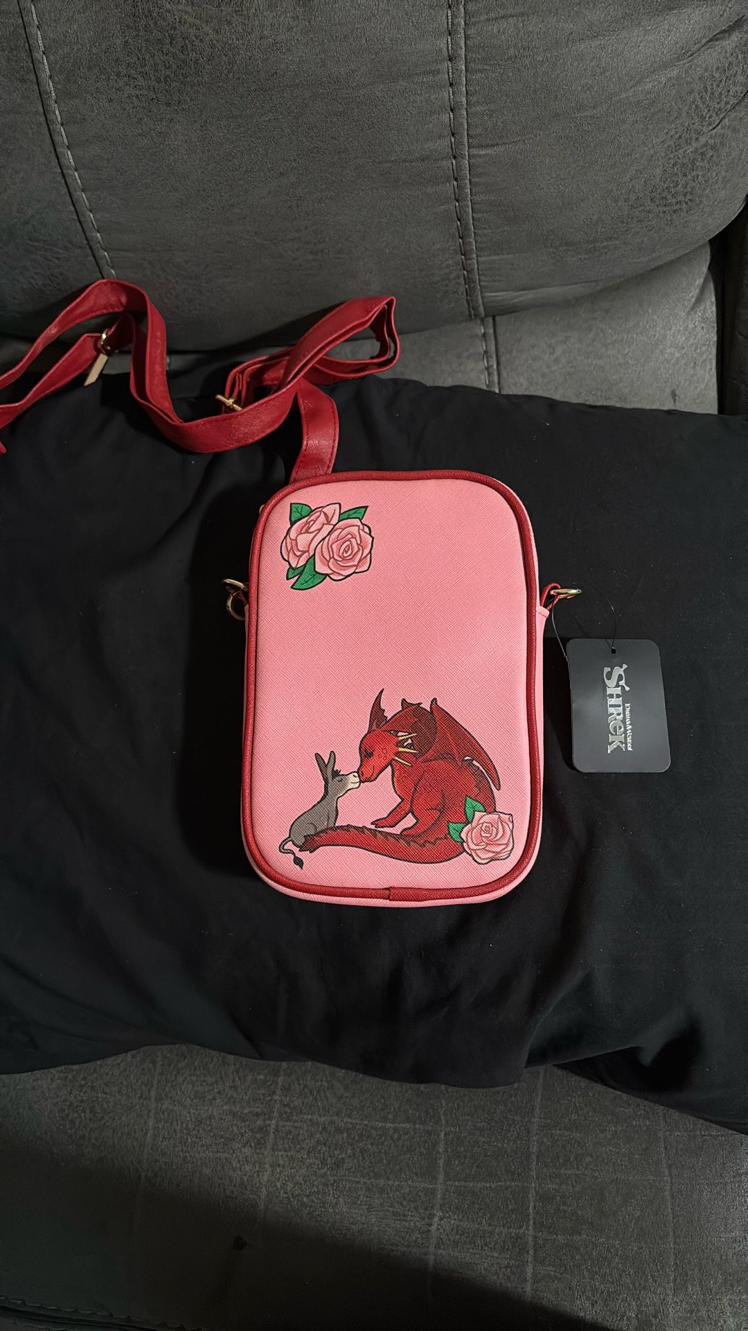 Shrek Purse (Price Is Firm)  8 X 6β (Backpack π In Profile )