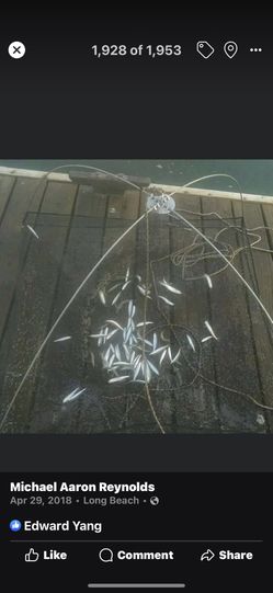 Free Dip Net With Paid For Fishing Lesson