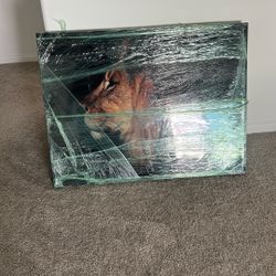 Lion Home Canvas