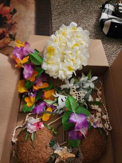 Hawaiian  Costume  Beautiful And Authentic 