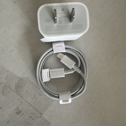 Apple Fast charger 20watts For iPhones And iPads (USB - C) 