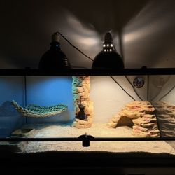 40 Gallon Reptile Tank- Full Setup Included