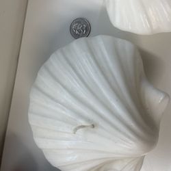 Italian Sea Shell Candles -large 5-inch