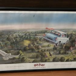 Harry Potter and the Chamber of Secrets (VERY Rare) 2017 Framed Poster  