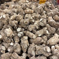 American Ginseng and more