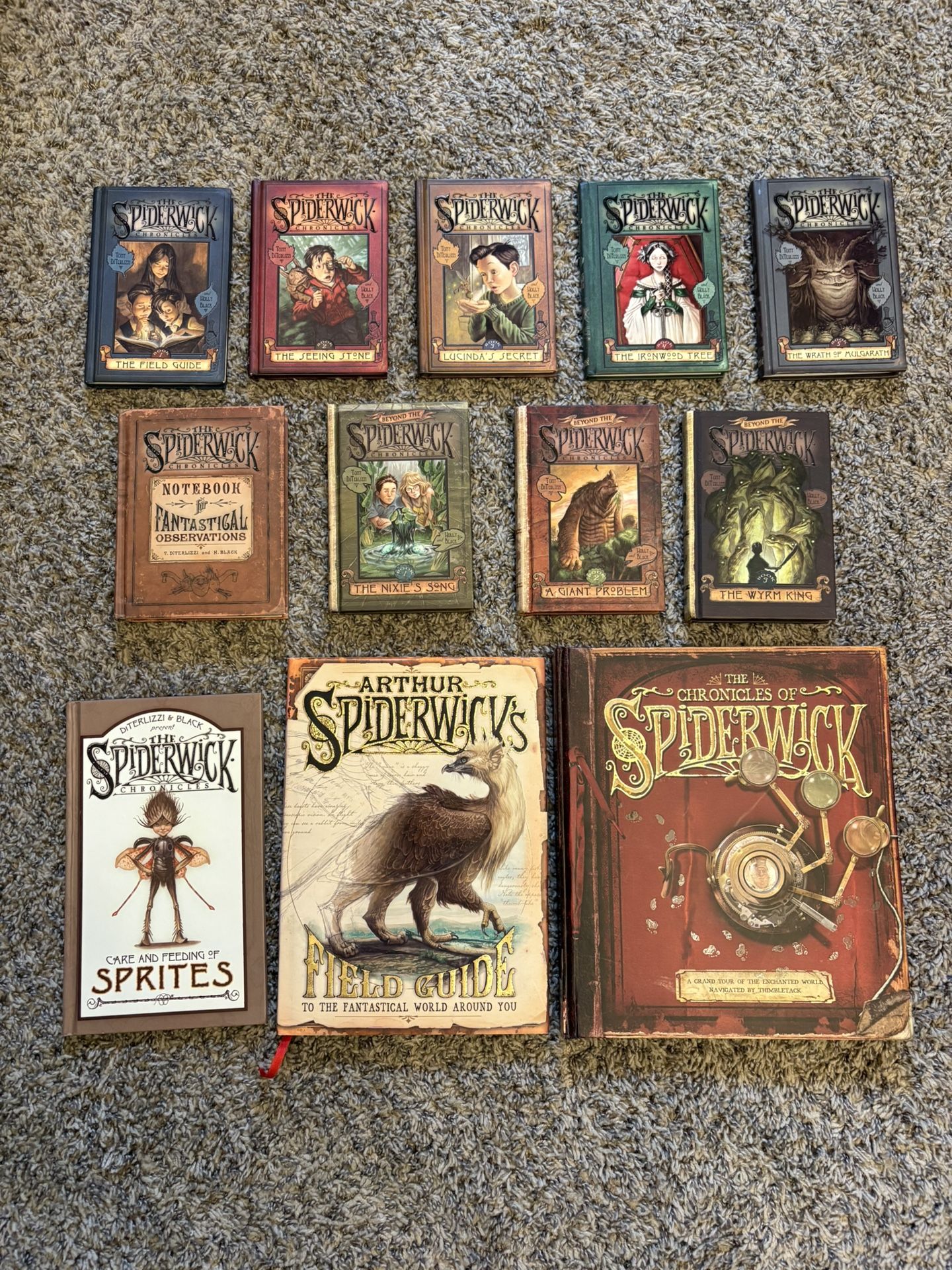 Complete Set of 12 Hardcover The Spiderwick Chronicles Book Collection