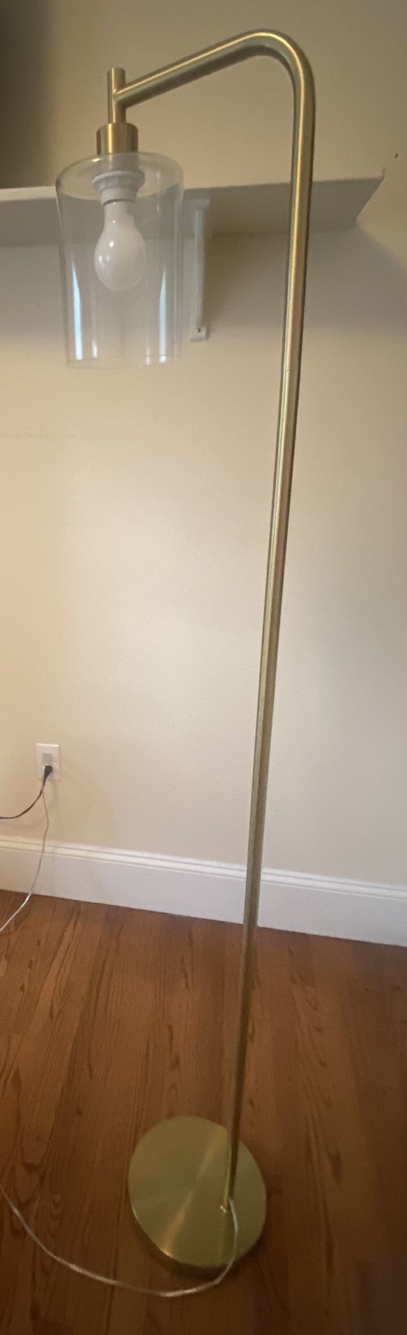 Modern Gold Floor Lamp w/ Glass Shade