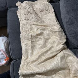 Size 14 Dress Champaign