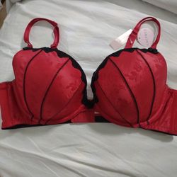 Cacique Bra Size 44C