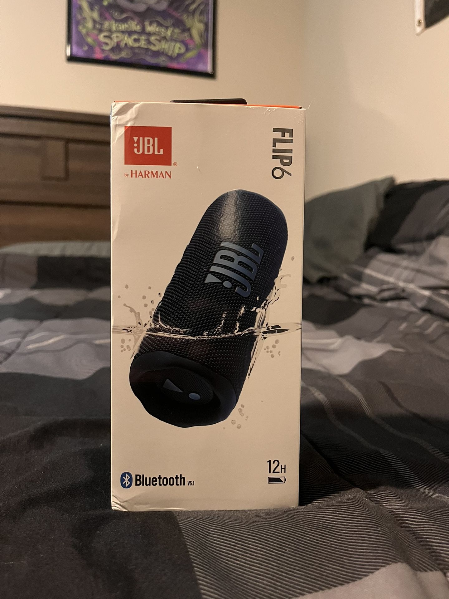 JBL Flip 6