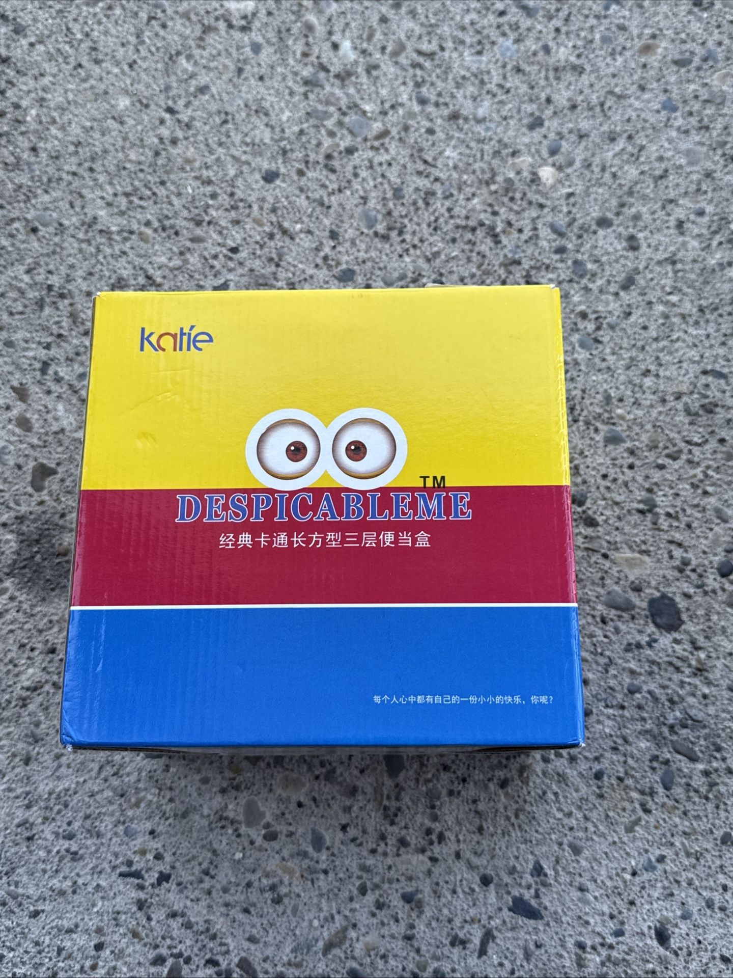 Despicable Me 2 Metal Lunchbox