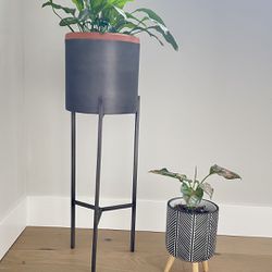 Planters With Plants Included