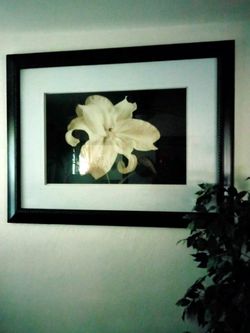 Large Flower Picture