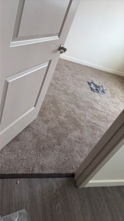 Carpet installation