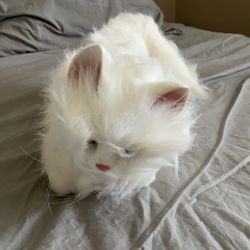 Tiger Electronics Cat