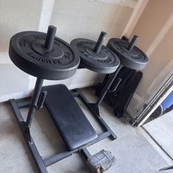 Titan Leg Press And bumper plate weights