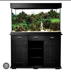 Shaker Aquarium Fish Tank Set 66.5 Us Gal Color Black