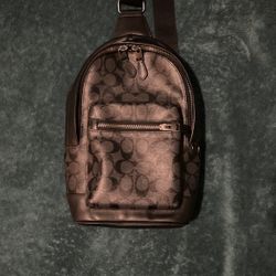 Mens Coach Bag