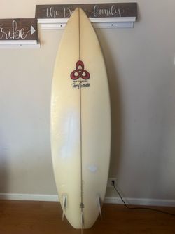 Terry Senate short board