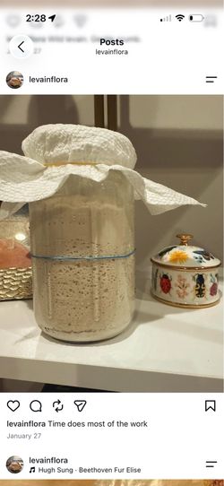 Organic Gluten Free Sourdough Starter