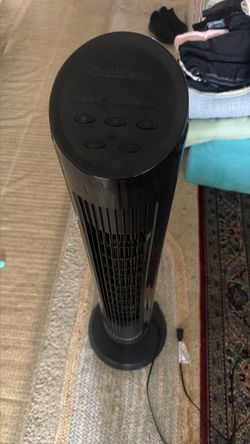 Fan