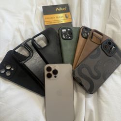 iPhone 13 Pro Max Gold 512 + 7 Cases + Privacy Screen New 