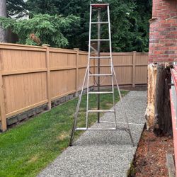 10ft Wood Red Top Orchard Ladder 