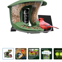 Bird Feeder Camera