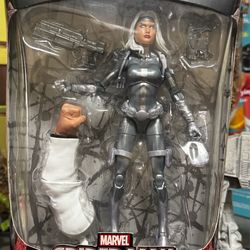 SILVER SABLE