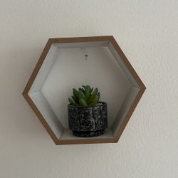 Decorative Floating Shelf And Fake Plant 