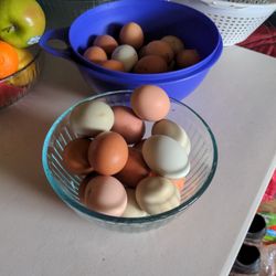 Fresh Eggs!