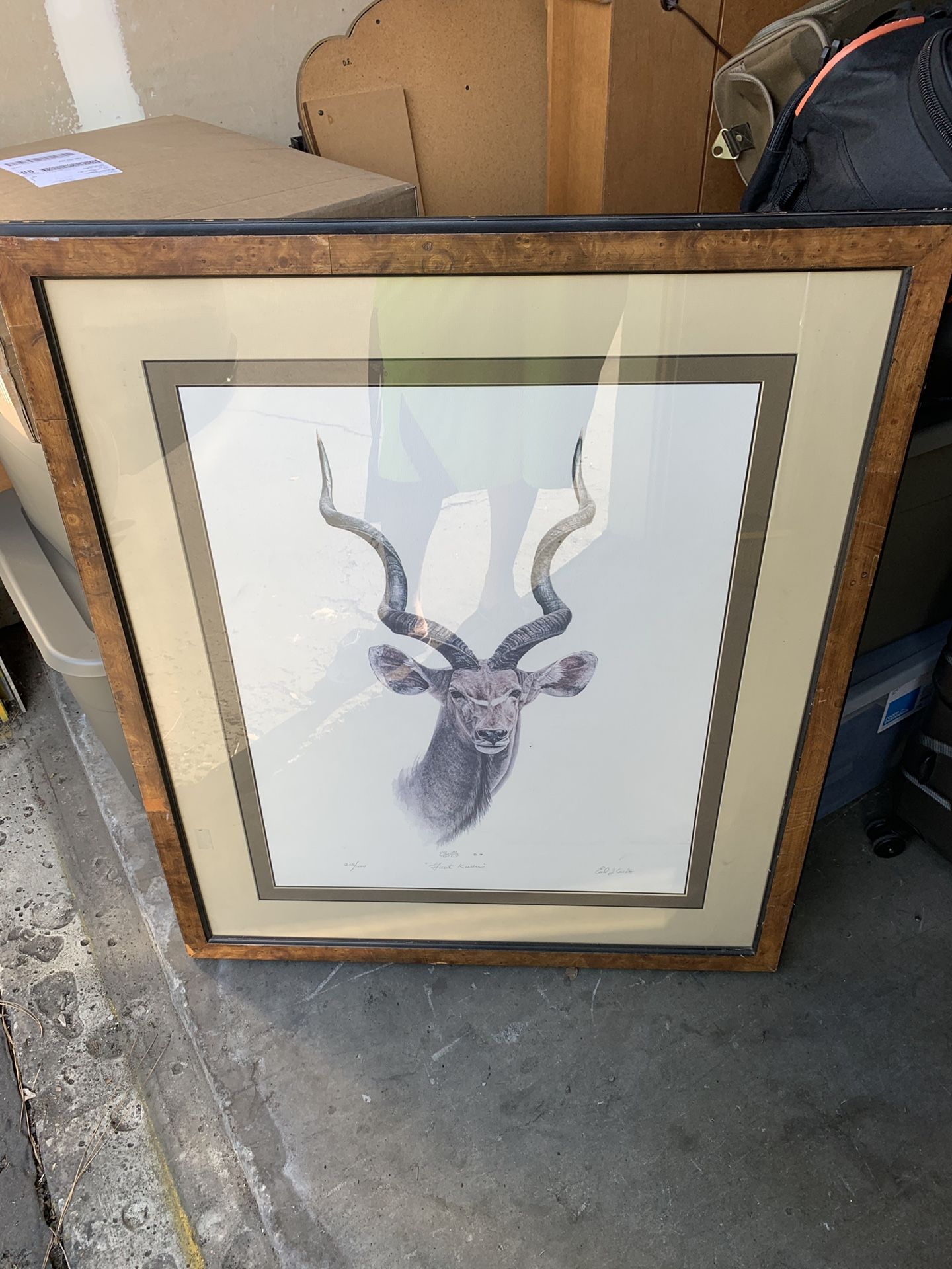 EARL J. CACHO Great Kudu Limited Addition 259/1000 SIGNED And Framed