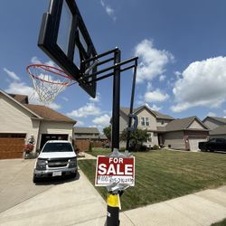 Lifetime Basketball Hoop And Stand 