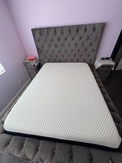 14 in Queen Molblly gel memory foam mattress
