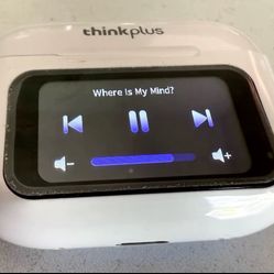 Wireless Ear Buds With Touch Screen 
