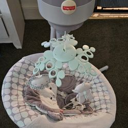 Fisher-Price Cradle N Swing Portable Swing