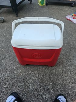 Igloo Cooler