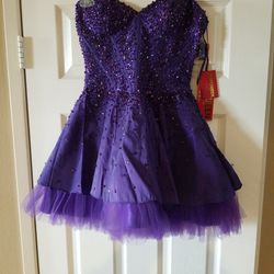 NEW Purple Dress Size6
