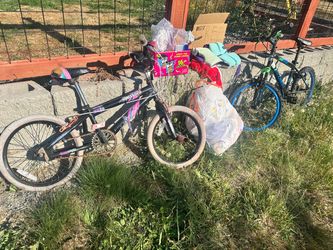 FREE Curb Alert: 2 Kids Fixer-Upper Bikes + Bag of Blankets & Plushies