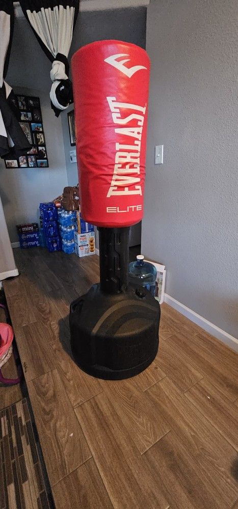 everlast boxing punching bag
